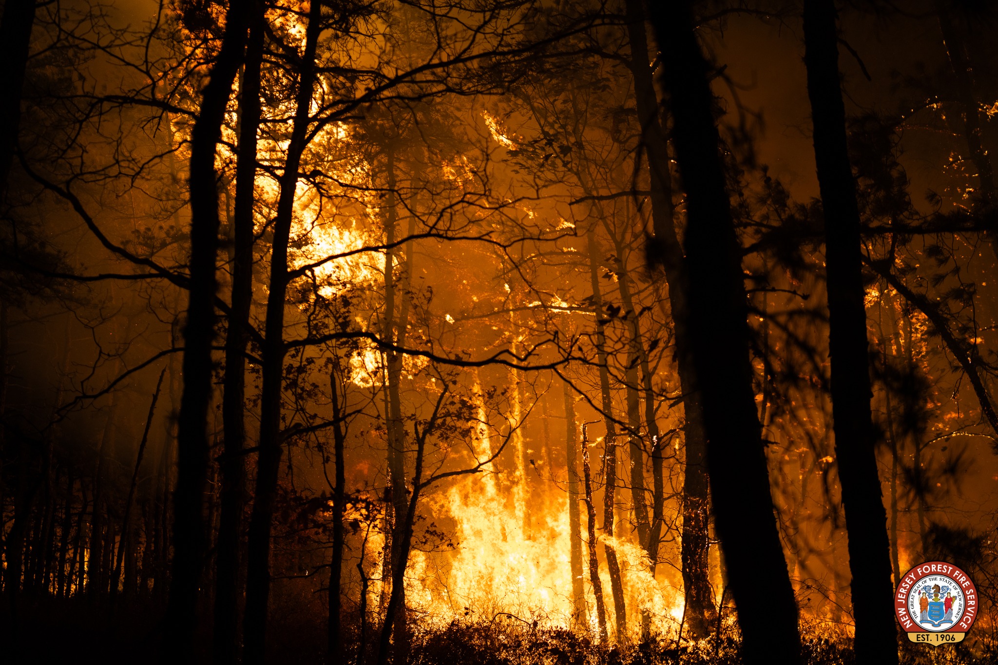 Usa, allarme siccità: incendi in New Jersey, decine di strutture minacciate. Fumo anche a New York city (foto)