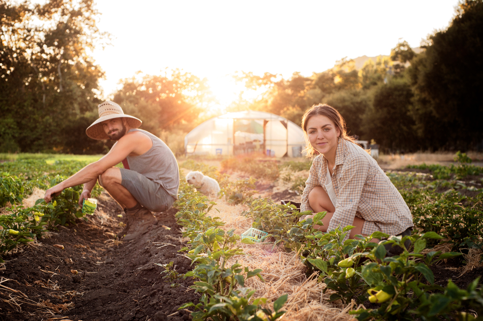 Coldiretti Toscana e gli “Oscar Green 2024”: Saccardi premia i giovani agricoltori