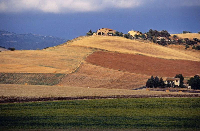 Opportunità per le aziende agricole: contributi per investimenti produttivi