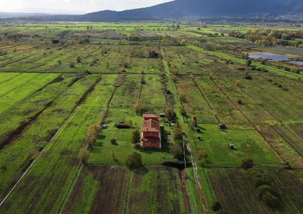 SACE e BPER supportano Gruppo Cartiere Carrara: Finanziamento Green di 5 milioni per la forestazione sostenibile