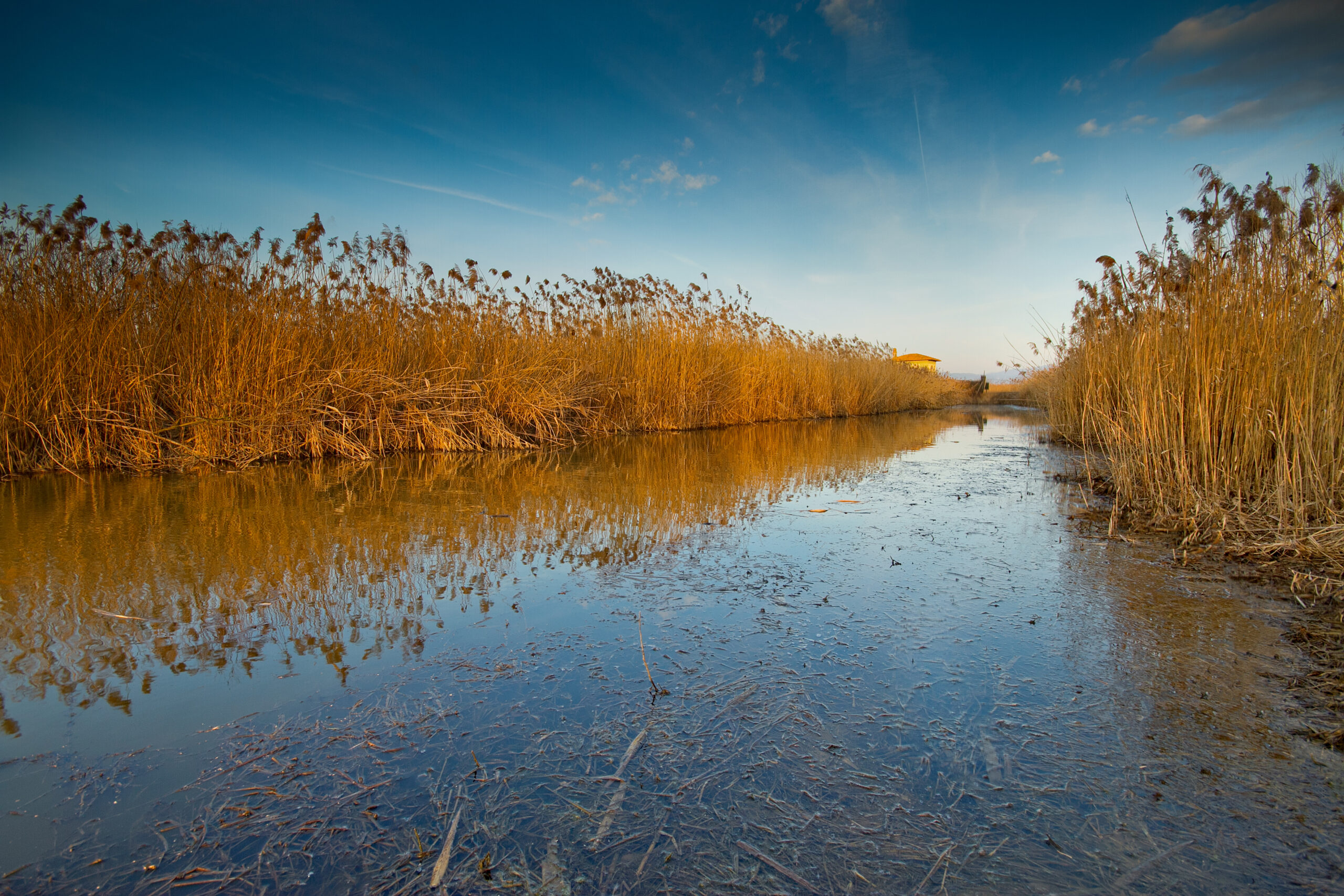 Biodiversità, in arrivo 20 milioni per tutelare aree umide, boschi e praterie
