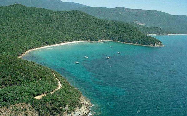 Cala Violina: numero chiuso e prenotazione obbligatoria. Da giugno a settembre