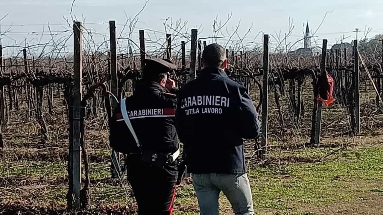 Castelfiorentino: caporalato e sfruttamento. Un arresto