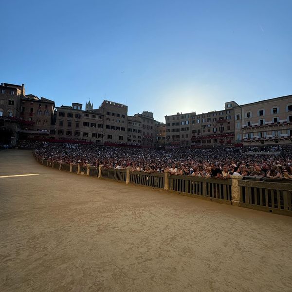 Palio di Siena 2025: Riccardo Manganelli realizzerà drappellone del 2 luglio