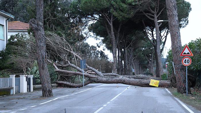 Maltempo: codice giallo a Firenze e comuni vicini per vento forte