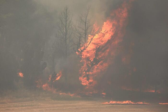 Gerusalemme circondata dalle fiamme: emergenza in Israele. Hamas incita i palestinesi a “bruciare tutto”