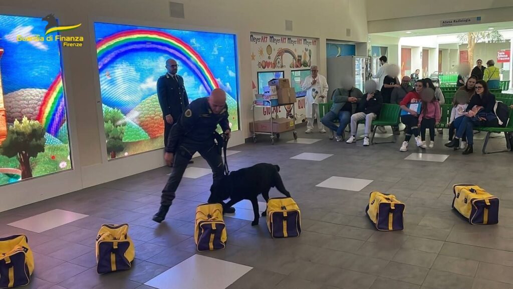 Firenze: il cane Elio della Guardia di Finanza porta un sorriso ai bambini del Meyer