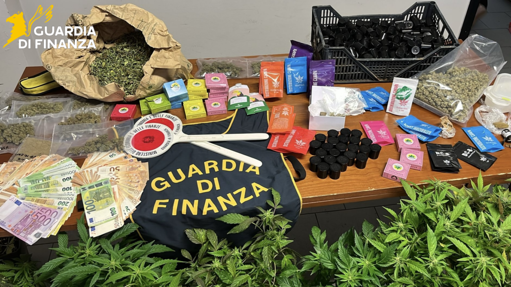 Droga: piantagione di marijuana scoperta a Montelupo. Sei indagati a Firenze, Prato e Pistoia