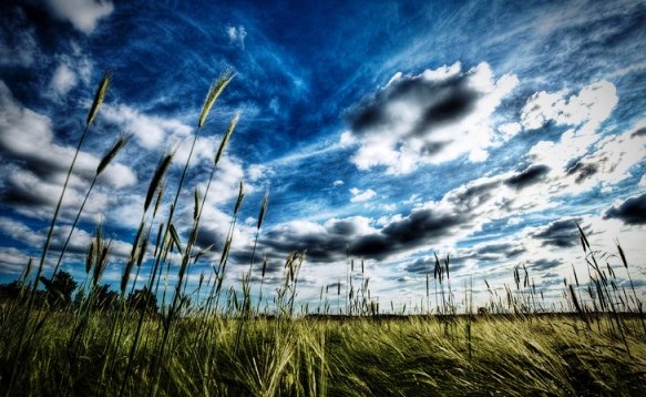 Meteo in Toscana: tregua dal maltempo sabato, Pasqua e Pasquetta con ombrello al seguito