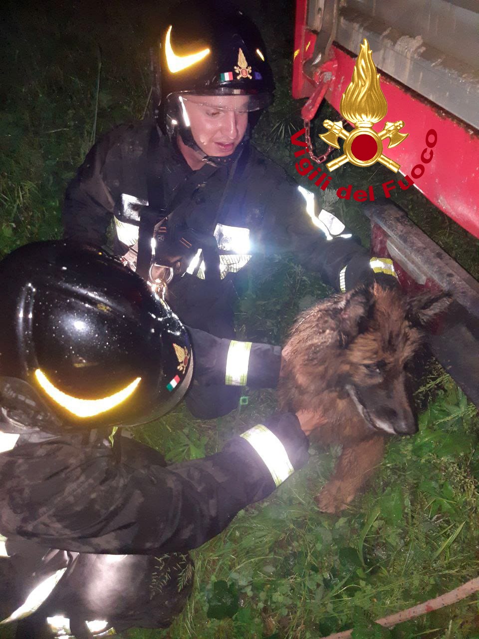 Cane intrappolato in un dirupo a Dicomano: salvato dai vigili del fuoco (foto)