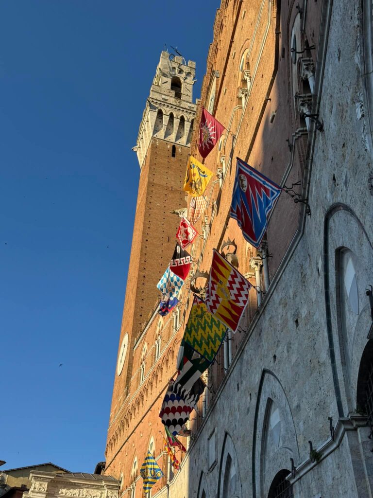 Palio di Siena, 2 luglio 2025: Lupa, Oca, Bruco, Valdimontone e Pantera le contrade estratte