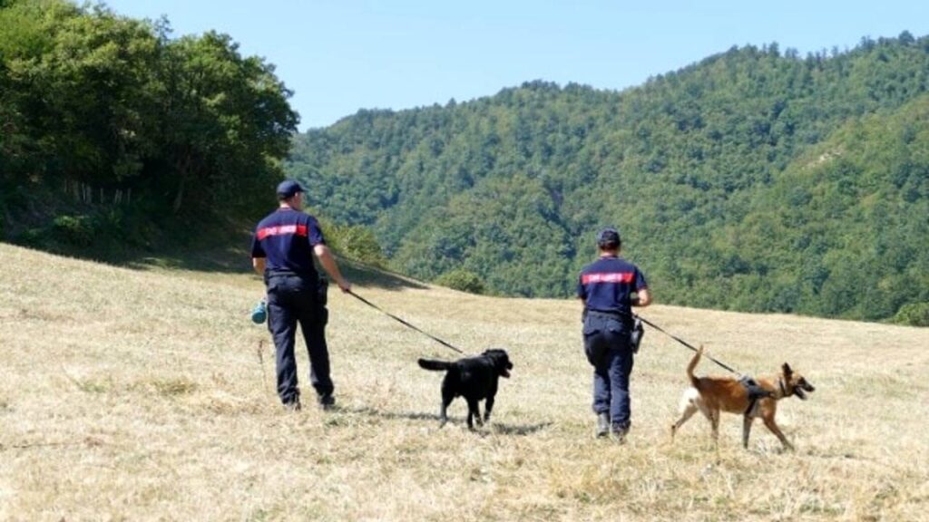 Barberino Tavarnelle: controlli antidroga nel bosco Sant’Appiano