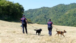 Barberino Tavarnelle: controlli antidroga nel bosco Sant’Appiano