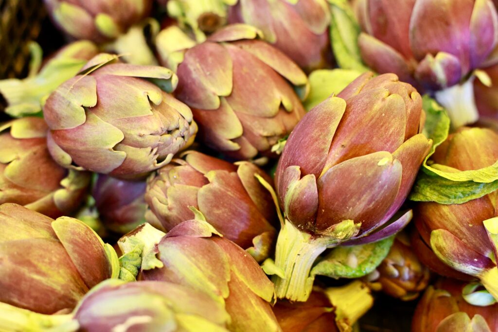 Carciofo empolese, per riconoscere l’unicità serve un consorzio di produttori: l’appello agli agricoltori di zona