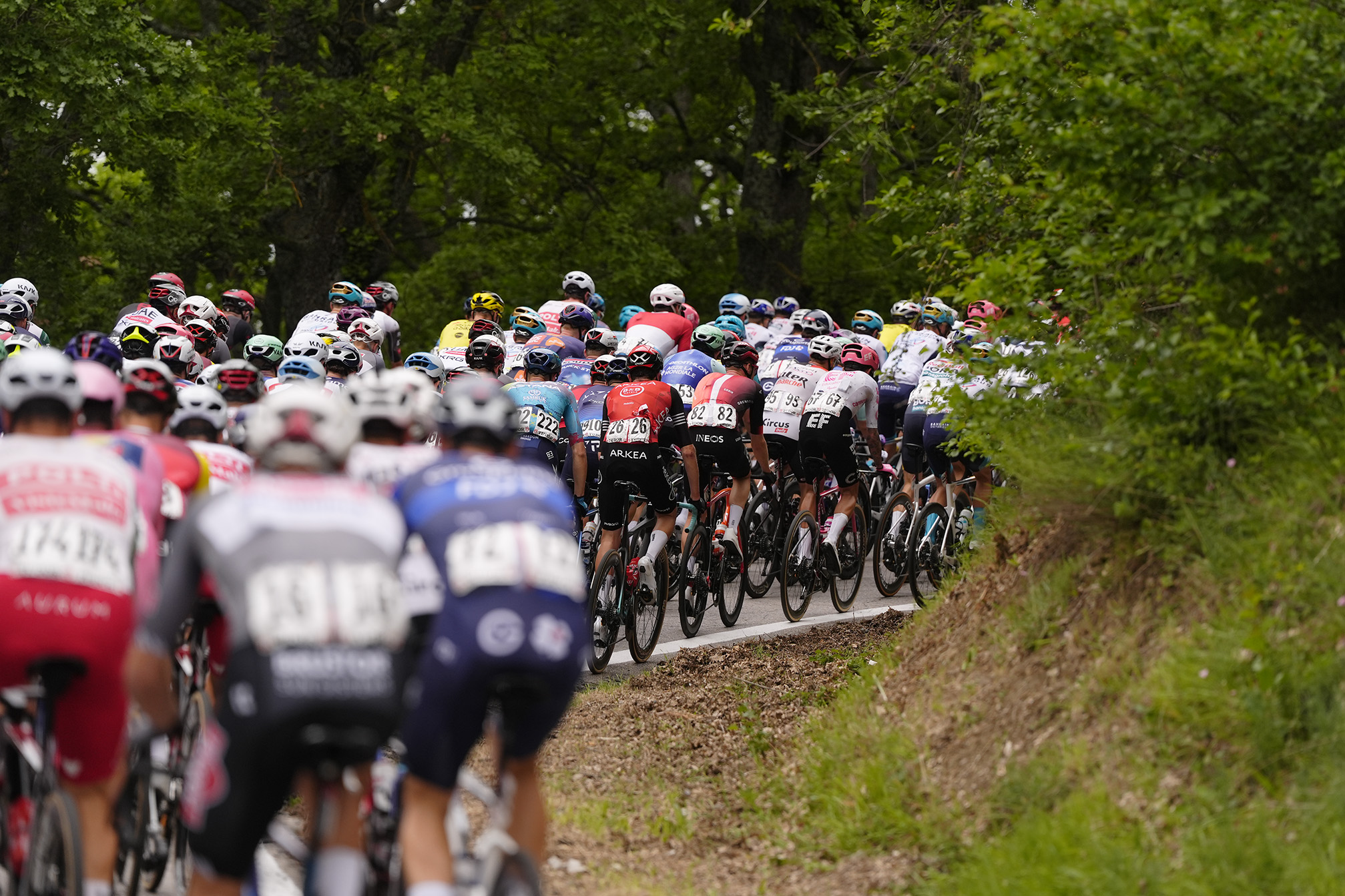 Giro d’Italia 2025: maxi caduta e ritiri. Groves vince la tappa di Napoli. Pedersen resta maglia rosa