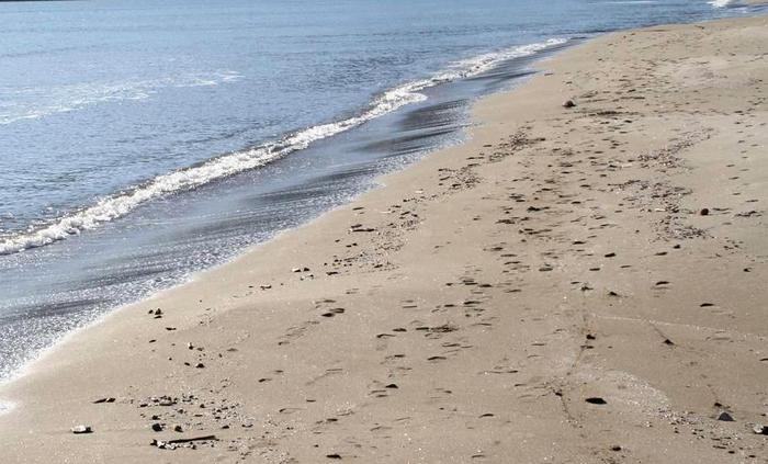 Clima: riscaldamento globale crescerà di oltre 1,5 gradi in quattro anni