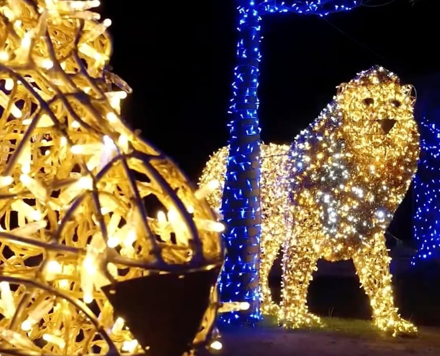 Lo Zoo Luminoso apre le sue porte sabato 17 maggio: alle 11 inaugurazione della grande novità del Parco Mariambini di Empoli
