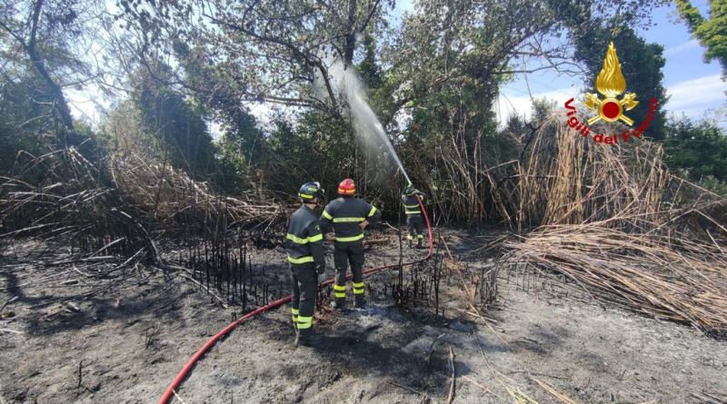 Pieve a Nievole: pauroso incendio di vegetazione vicino alle case. Cinque feriti, due ustionati gravi