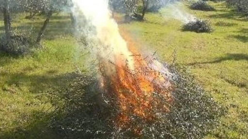 Incendi in Toscana: scatta in anticipo il divieto di abbruciamenti in tutta la regione