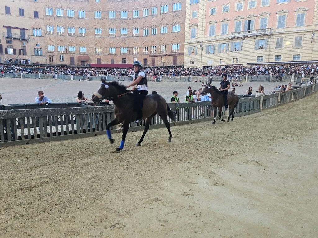 Palio di Siena: 35 cavalli presentati alla Tratta. In vista del 2 luglio