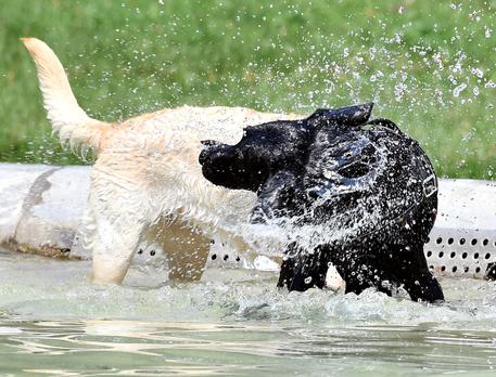 Caldo in Toscana: domenica bollente con 37 gradi a Firenze, poi breve tregua con la “goccia fredda”