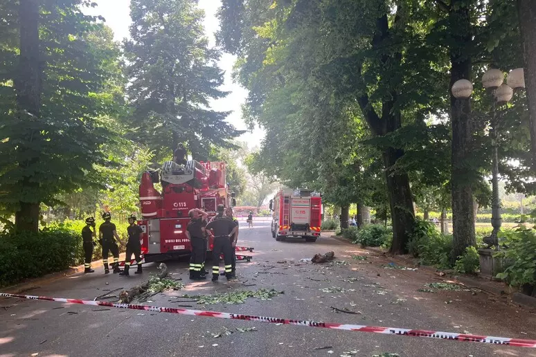 Firenze, Cascine: cade un ramo, ragazza di 23 anni in codice rosso a Careggi. Aspettava il concerto dei Gun’s Roses