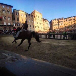 Palio di Siena: la Lupa vince la terza prova. Con Ares Elce e “Shardana”