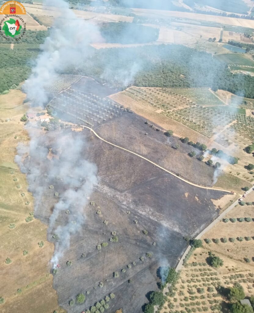 Incendio a Massa Marittima: fiamme nel bosco minacciano agriturismi. Paura per il vento forte