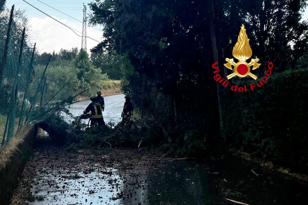 Maltempo in Toscana: temporale a Firenze, albero cade nel viale Fanti. Allerta gialla estesa a lunedì 7