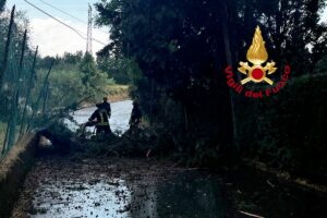 Maltempo in Toscana: temporale a Firenze, albero cade nel viale Fanti. Allerta gialla estesa a lunedì 7