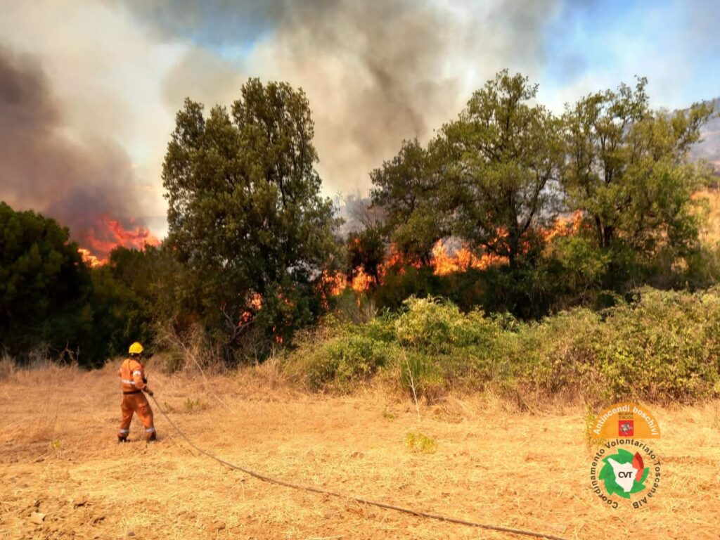 Maremma, nuovo incendio: fiamme nei boschi di Scansano, minacciate le case