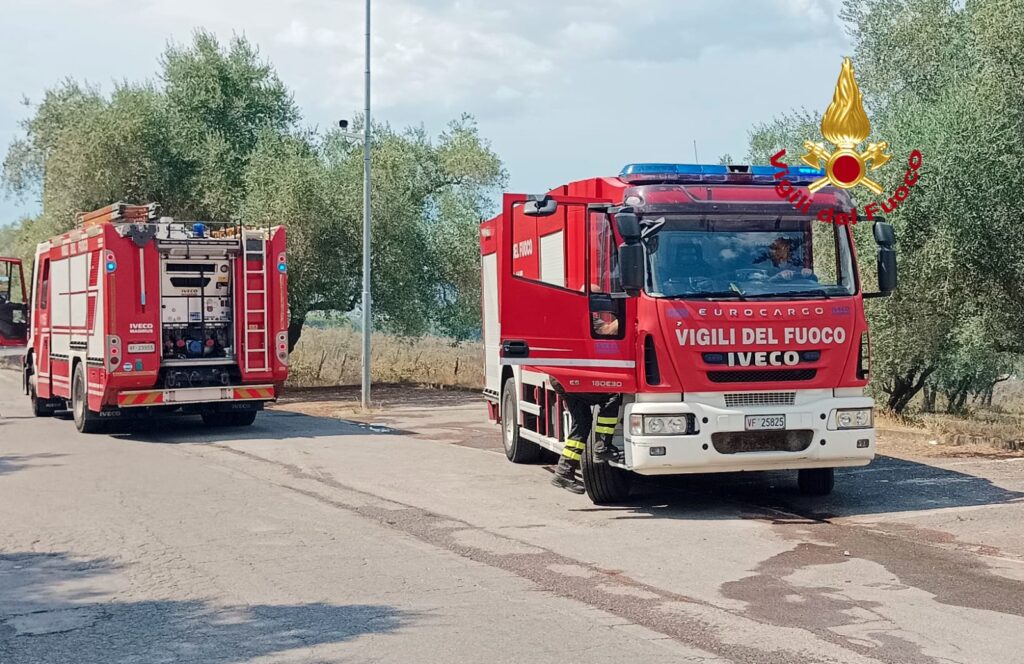 Sesto Fiorentino: incendio di sterpaglie, a rischio zona via del Pantano-via Perfetti Ricasoli